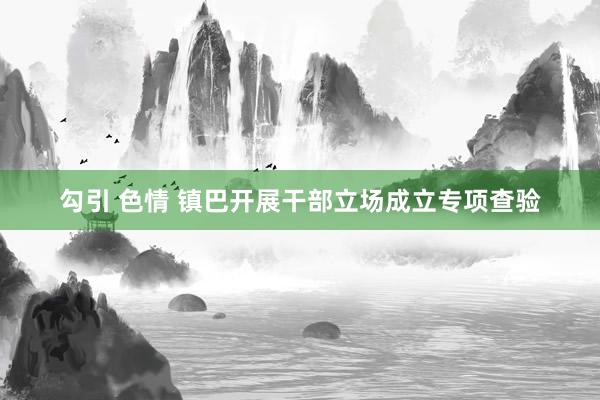勾引 色情 镇巴开展干部立场成立专项查验