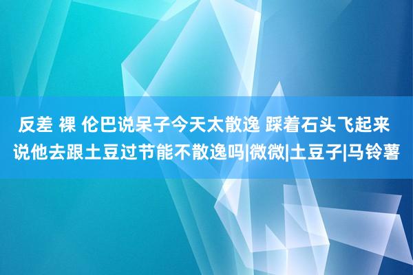 反差 裸 伦巴说呆子今天太散逸 踩着石头飞起来 说他去跟土豆过节能不散逸吗|微微|土豆子|马铃薯
