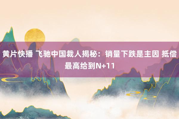 黄片快播 飞驰中国裁人揭秘：销量下跌是主因 抵偿最高给到N+11