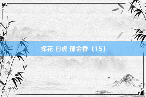 探花 白虎 郁金香（15）