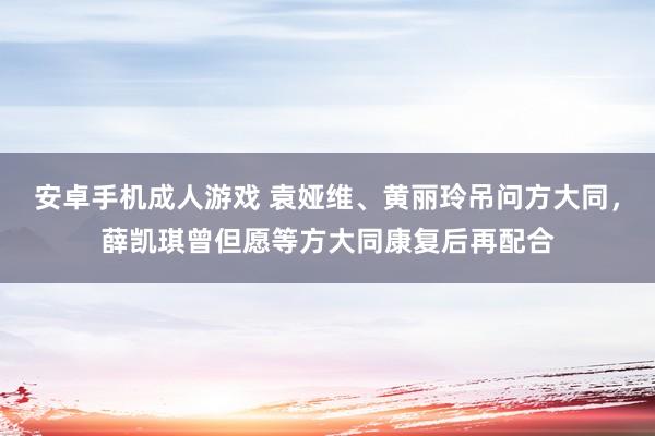 安卓手机成人游戏 袁娅维、黄丽玲吊问方大同，薛凯琪曾但愿等方大同康复后再配合